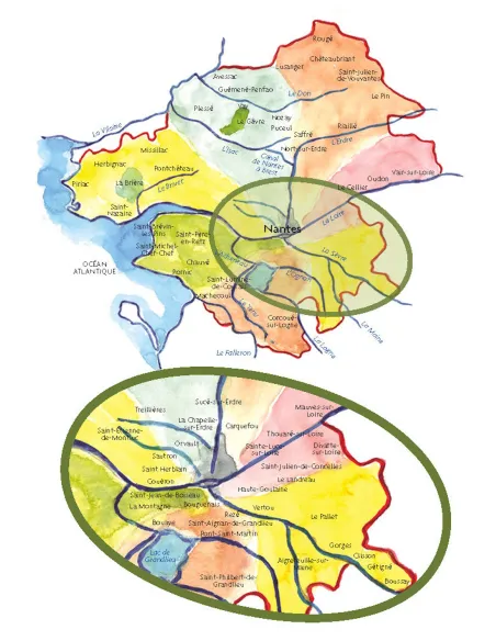 Arbres remarquables de Loire-Atlantique