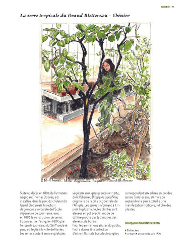 Arbres remarquables de Loire-Atlantique