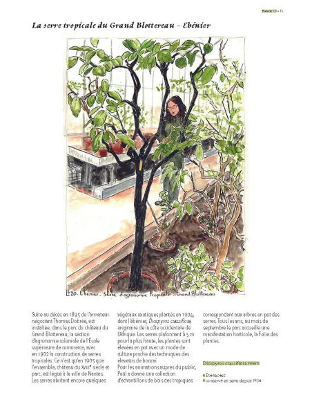 Arbres remarquables de Loire-Atlantique