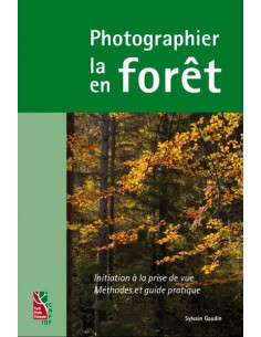 Photographier la forêt - Photographier en forêt