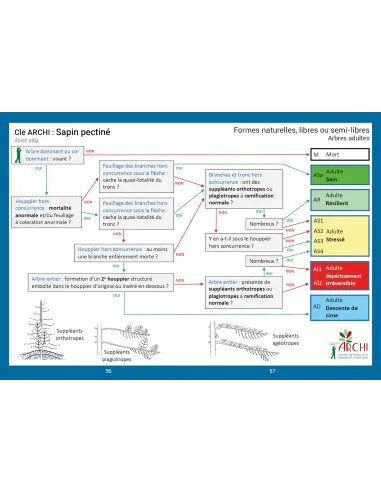 Évaluer la vitalité des arbres