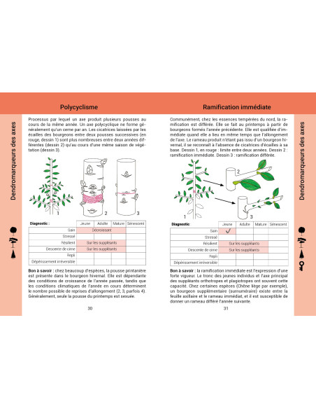 Évaluer la vitalité des arbres