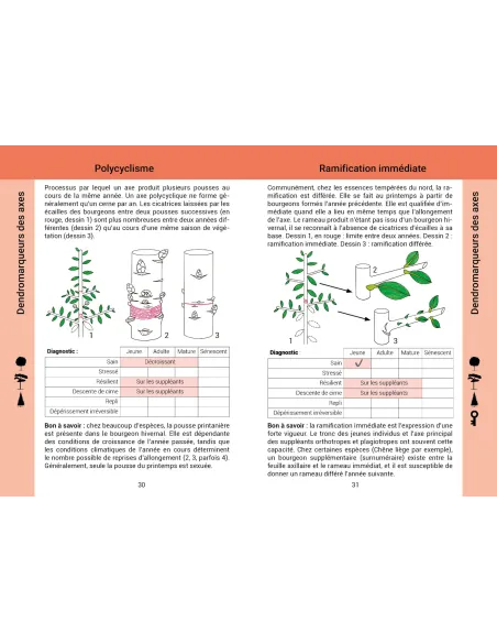 Évaluer la vitalité des arbres