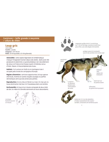 Les petits livres de la nature - Gros...