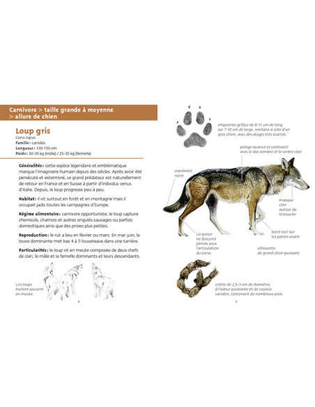 Les petits livres de la nature - Gros mammifères