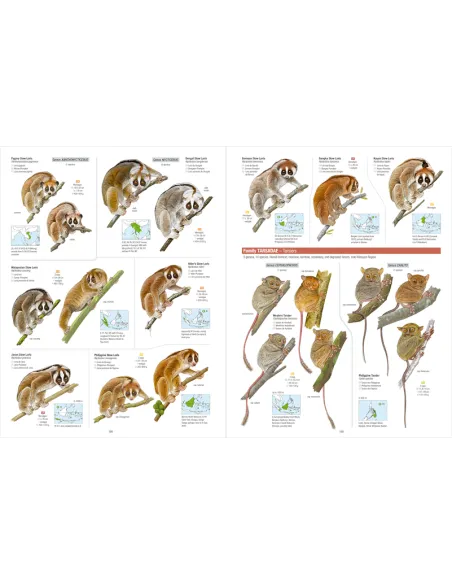 All the Mammals of the World