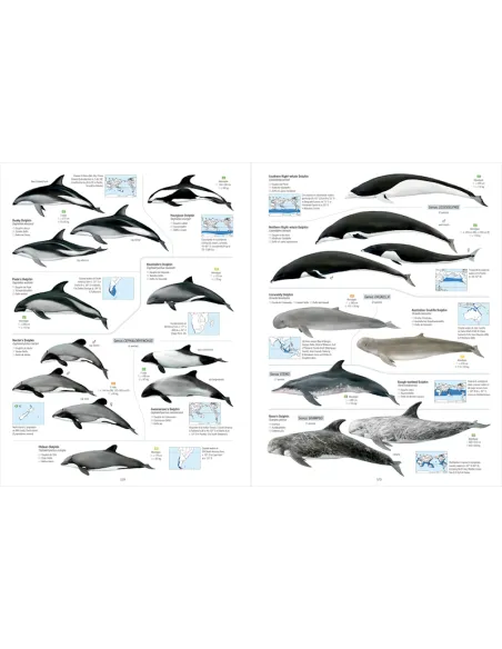 All the Mammals of the World