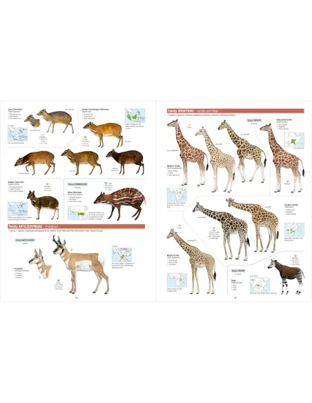 All the Mammals of the World