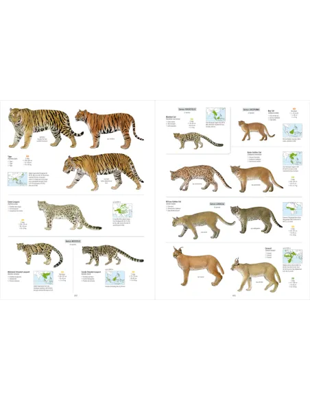 All the Mammals of the World