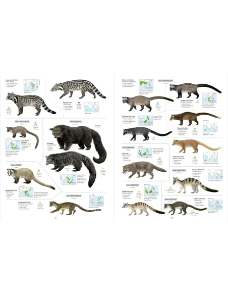 All the Mammals of the World