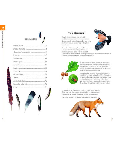 Reconnaître facilement les animaux
