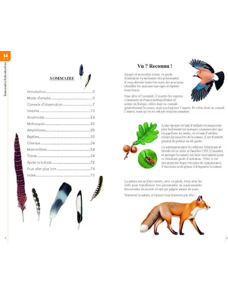 Reconnaître facilement les animaux
