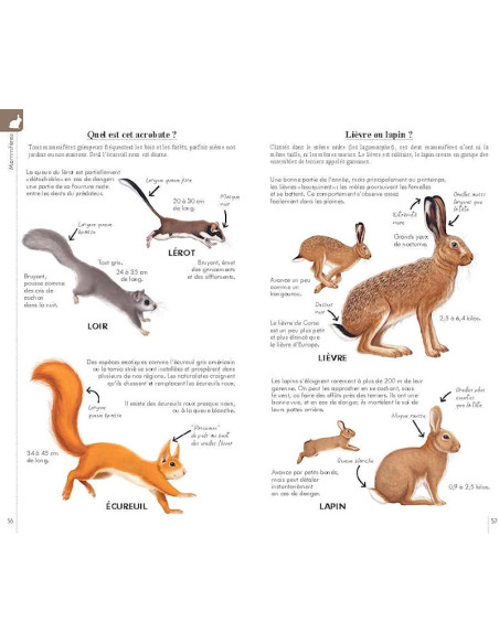 Reconnaître facilement les animaux