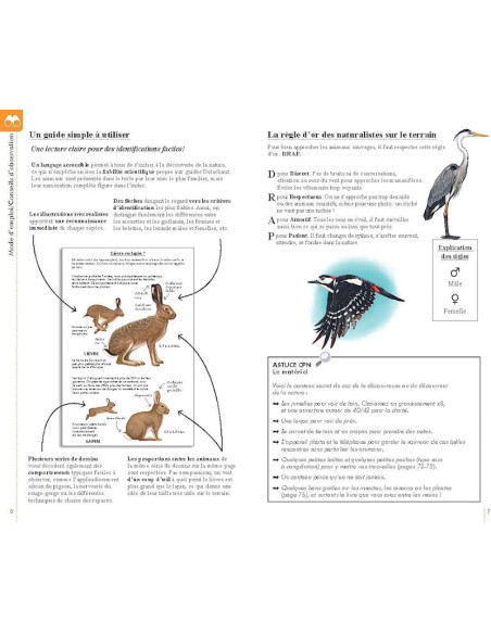 Reconnaître facilement les animaux