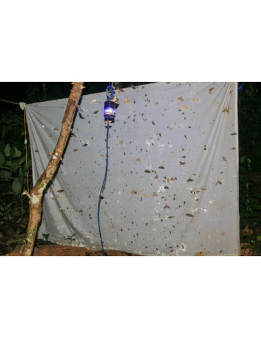 Lampe LED à UV LEPILED Maxi Switch 1.5W - Pour capture et inventaire des insectes nocturnes