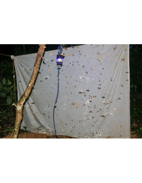 Lampe LED à UV LEPILED Maxi Switch 1.5W - Pour capture et inventaire des insectes nocturnes