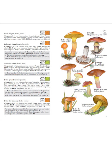Champignons, guide de terrain - 2ème édition revue et augmentée