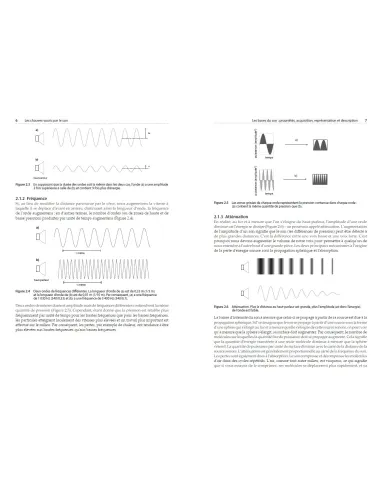 Les chauves-souris par le son - Identifier toutes les espèces de France et d'Europe