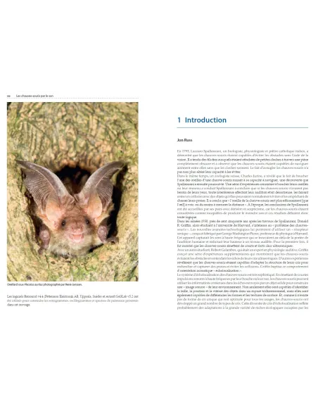 Les chauves-souris par le son - Identifier toutes les espèces de France et d'Europe