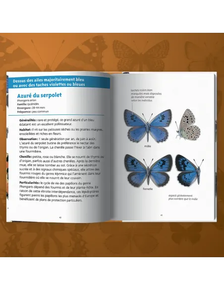 Les petits livres de la nature - Papillons