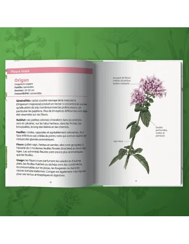 Les petits livres de la nature -...