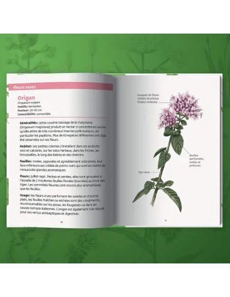 Les petits livres de la nature - Plantes comestibles