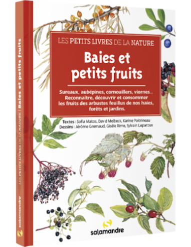 Les petits livres de la nature - Baies et petits fruits