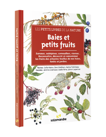 Les petits livres de la nature - Baies et petits fruits