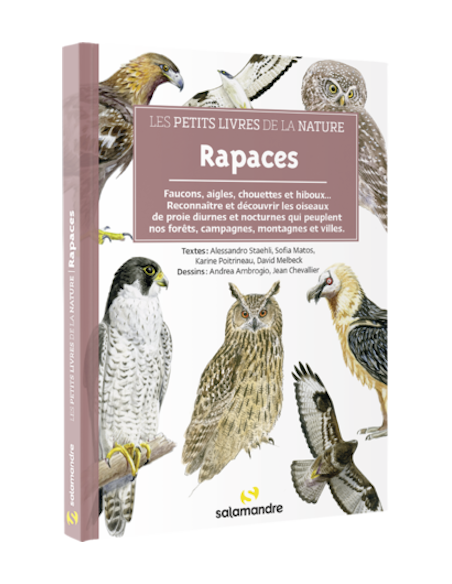 s petits livres de la nature - Rapaces
