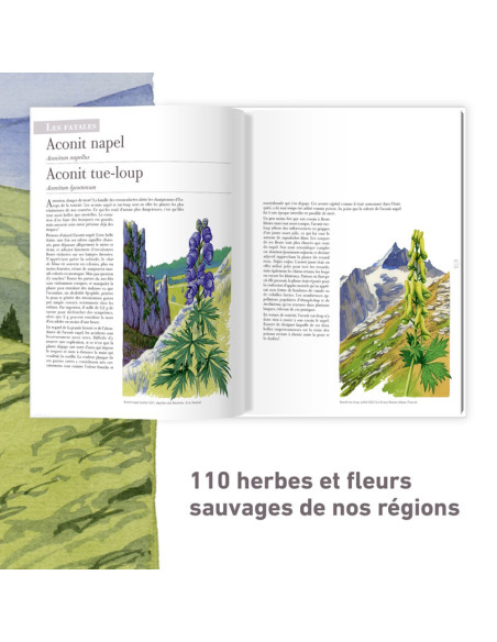 Les plantes sauvages