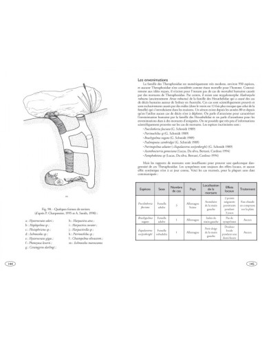 Mygales du Monde, Theraphosidae