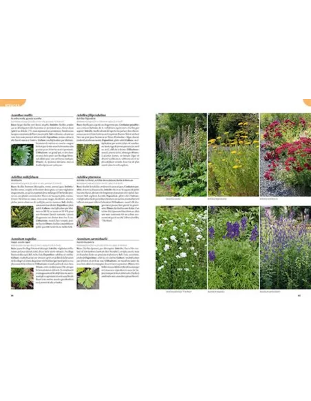 Les 900 plantes de jardin à connaître