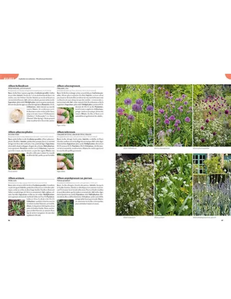 Les 900 plantes de jardin à connaître