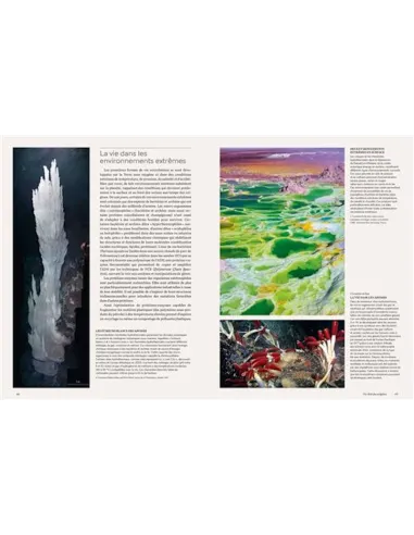 Les cellules - Une histoire de la vie