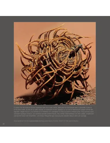 Hyper Nature - Une Révolution de...