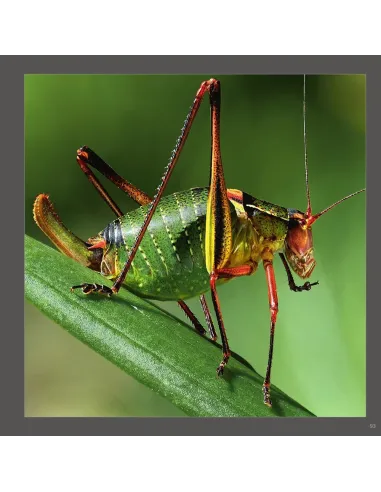 Hyper Nature - Une Révolution de...