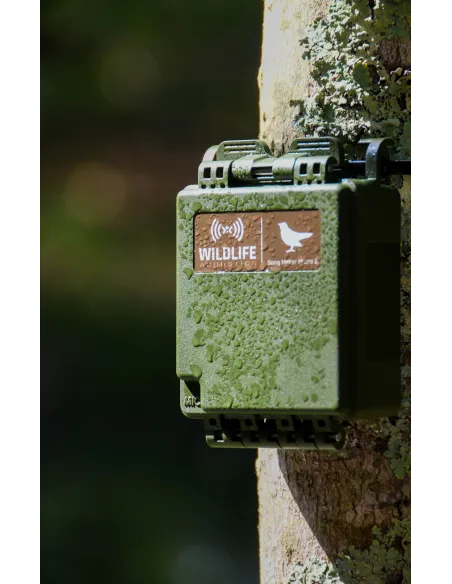 Song Meter Micro 2 (enregistreur audio) Wildlife acoustics