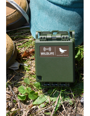 Song Meter Micro 2 (enregistreur audio) Wildlife Acoustics - Précommande  (Disponible fin Mars 2024)