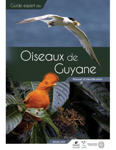 Guide des oiseaux de Guyane