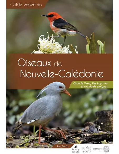 Guide expert des oiseaux de Nouvelle-Calédonie