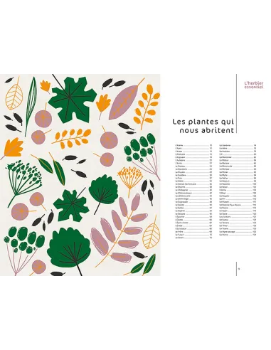 L'herbier essentiel  Histoire des plantes qui nous abritent, nous soignent et nous nourissent
