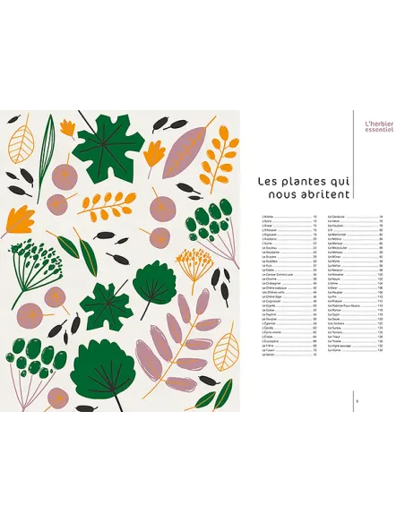L'herbier essentiel  Histoire des plantes qui nous abritent, nous soignent et nous nourissent