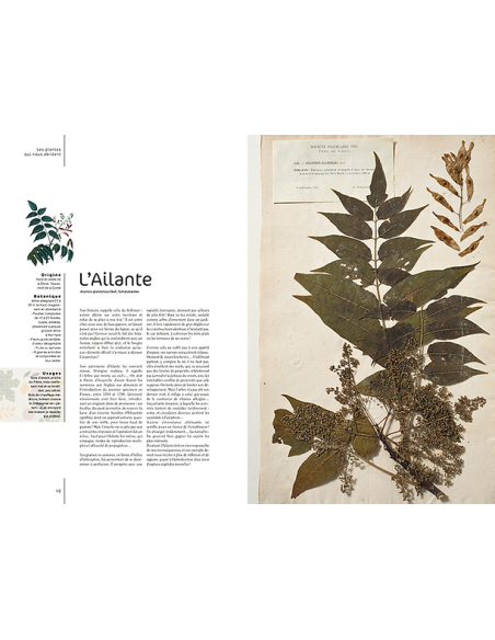 L'herbier essentiel  Histoire des plantes qui nous abritent, nous soignent et nous nourissent