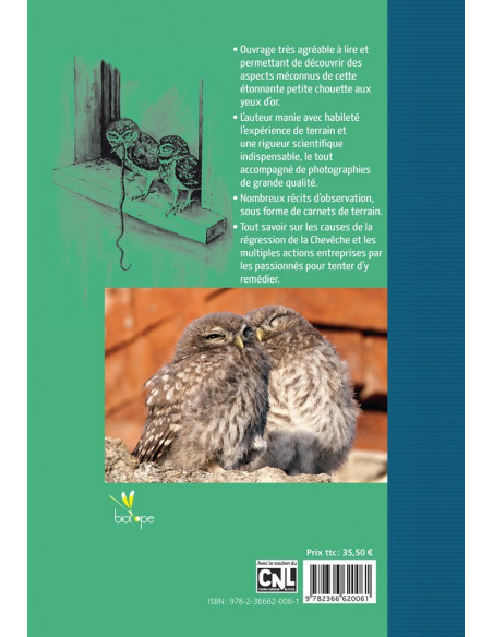 LA CHOUETTE CHEVECHE