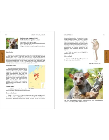 Lemurs of Madagascar - Fifth Edition