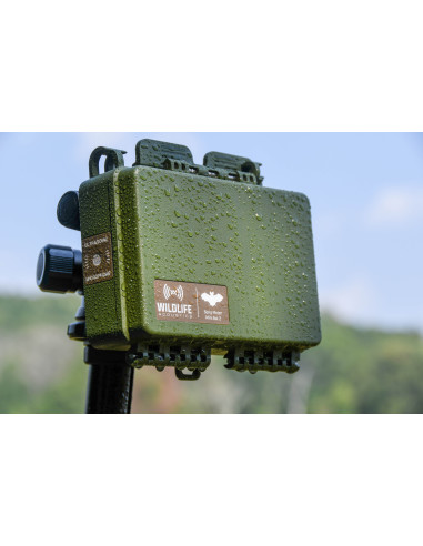 Song Meter Mini BAT 2 (ultra-sonore) Wildlife acoustics - Version AA ou 18650