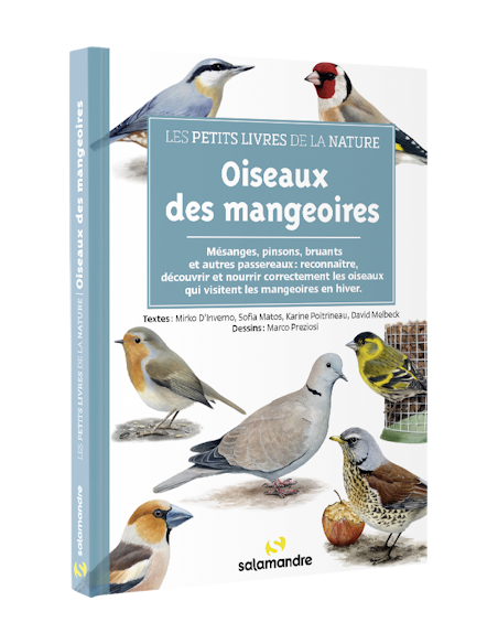 Les petits livres de la nature - Oiseaux des mangeoires