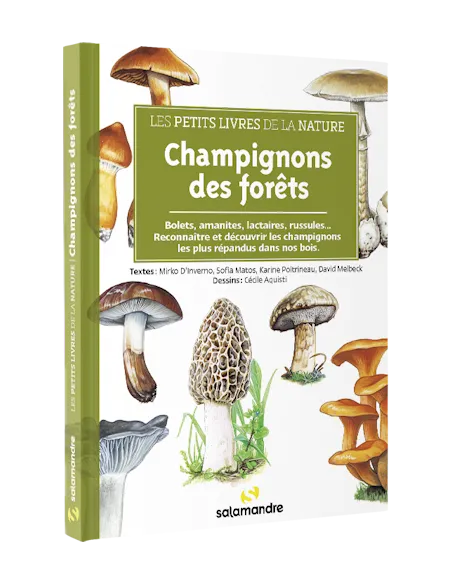 Les petits livres de la nature - Champignons des forêts