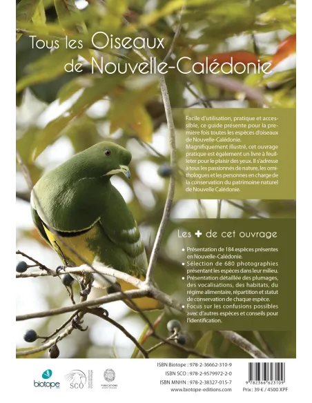 Guide expert des oiseaux de Nouvelle-Calédonie