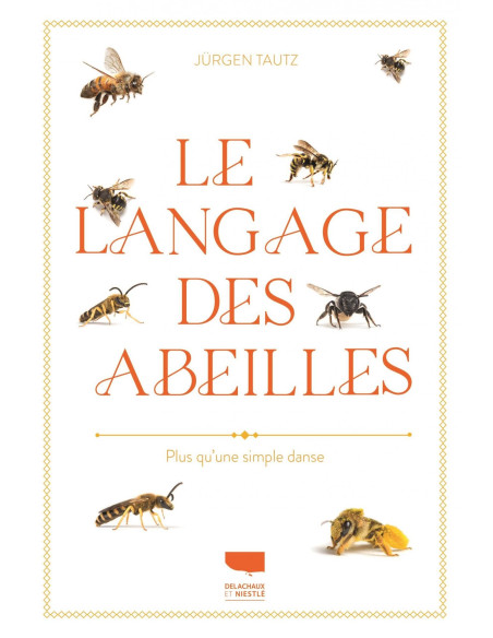 Le Langage des abeilles : plus qu'une simple danse